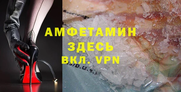 шишки Новозыбков