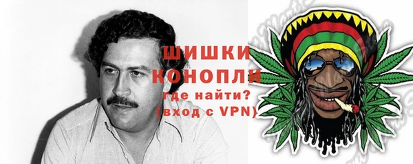 spice Богданович