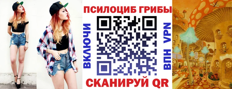 где продают Козельск Псилоцибиновые грибы мицелий